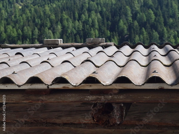 Obraz Dach aus Wellasbestplatten