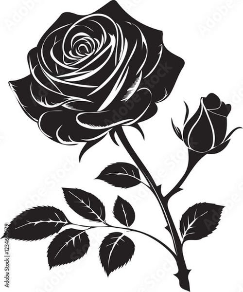Fototapeta Rose vector silhouette image 