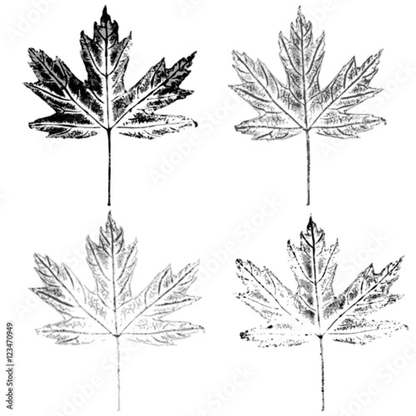 Obraz maple leaves imprint global color