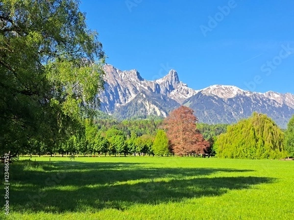 Obraz Swiss green mountains, spring. Snowy mountains in spring. Green hills. The Swiss mountains.