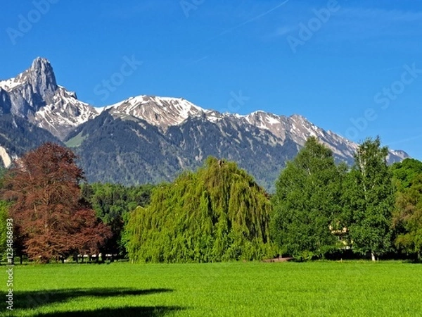 Obraz Swiss green mountains, spring. Snowy mountains in spring. Green hills. The Swiss mountains.