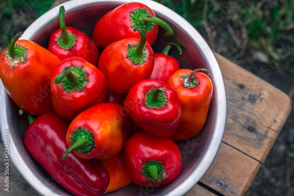 Obraz Fresh red pepper