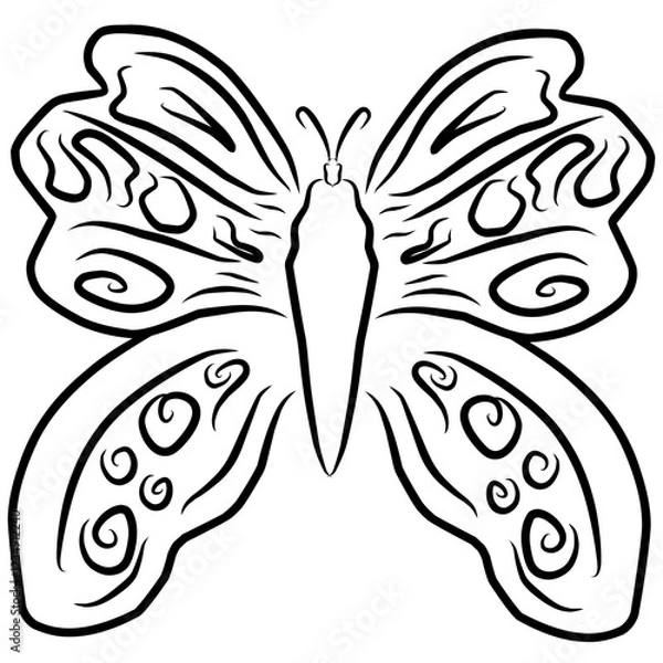 Fototapeta butterfly illustration