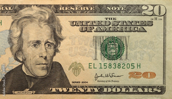 Obraz 20 dollars