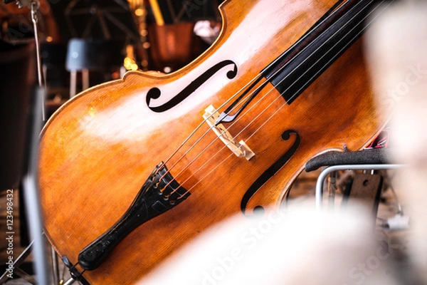 Obraz Kontrabasss