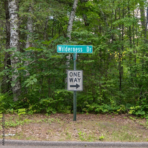 Obraz Metal signs on the boulevard of a tree lined street at an intersection.