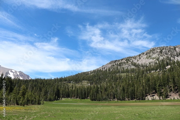 Fototapeta Partial View Of Mount Lassen And Reading Peak