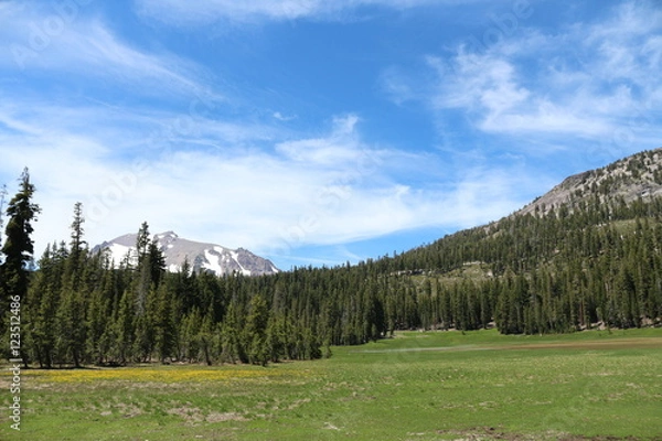 Fototapeta View Of Mount Lassen And Reading Peak From Meadow