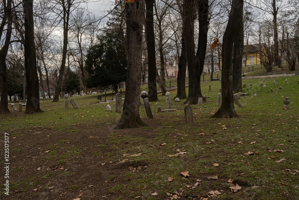Obraz Sarajevo, gravestones