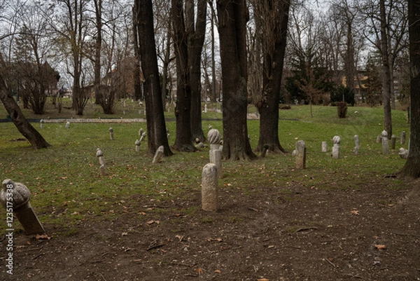 Obraz Sarajevo, gravestones