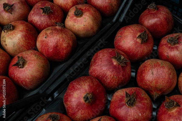 Obraz pomegranate