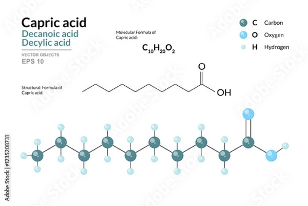 Fototapeta Capric Acid. Decanoic or Decylic Acid. Structural Chemical Formula and 3d Model of Molecule. C10H20O2. Atoms with Color Coding. Vector graphic Illustration for educational materials