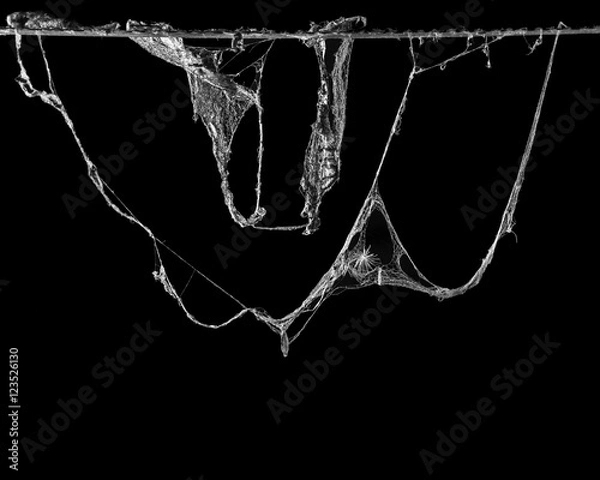 Obraz cobweb or spider web isolated on black background