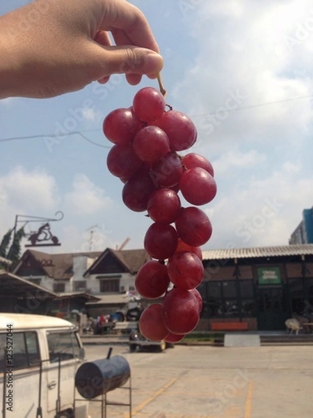 Fototapeta holding grape in the sky