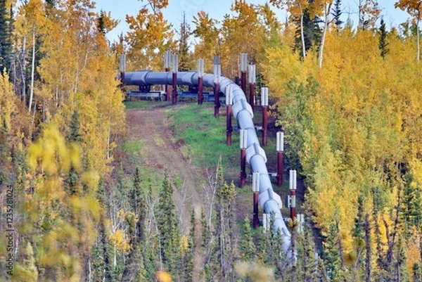 Obraz Pipeline durch Alaskas Wildnis