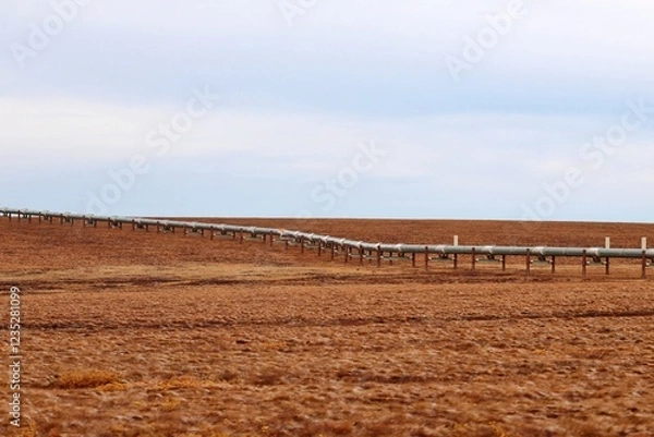 Obraz Pipeline durch Alaskas Wildnis