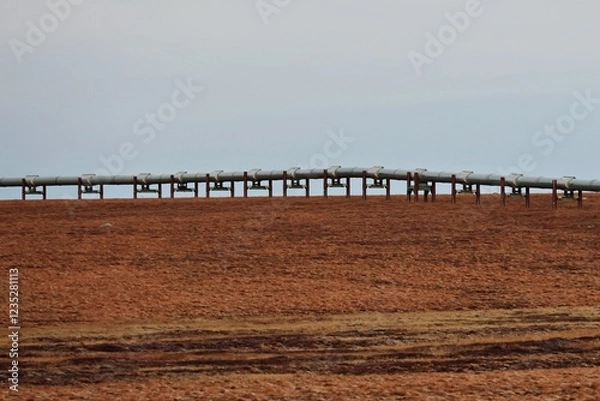 Obraz Pipeline durch Alaskas Wildnis