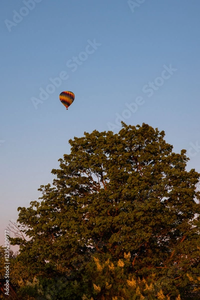 Fototapeta Hot air baloon soaring over the skies of Stockholm at sunset in the warm Swedish summer. Setting sun with Varmluftsballong over a tree. 