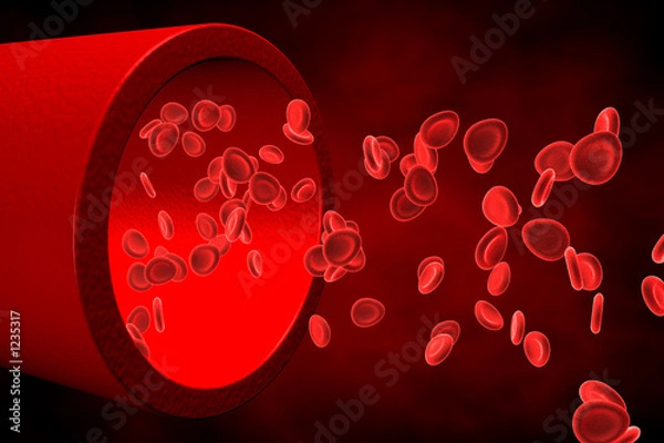 Fototapeta red blood cells