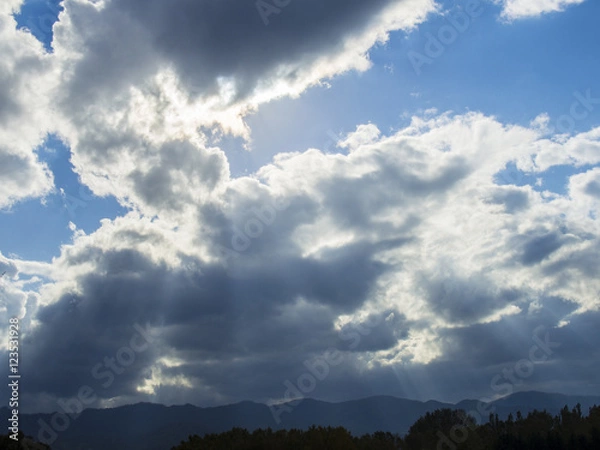 Fototapeta OLYMPUS DIGITAL CAMERA