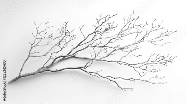 Fototapeta Bare branches on white background, winter decor