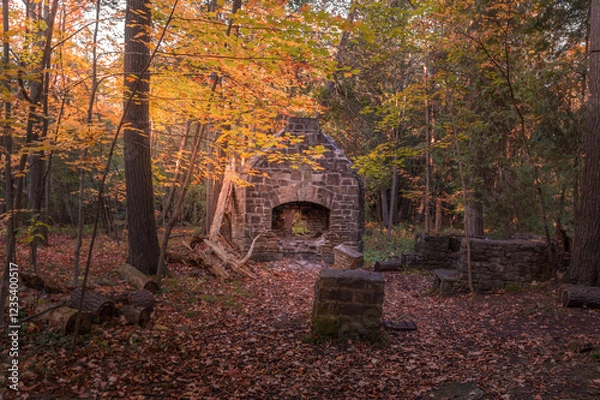 Fototapeta Autumn view of a small opening in a dense forest with green, yellow, red, and brown leaves with the remains of an old fireplace stove made of stone bricks.
