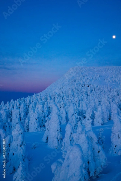 Obraz  夕暮れの蔵王樹氷