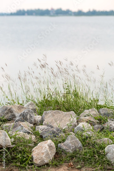 Obraz Evening with grass swaying.