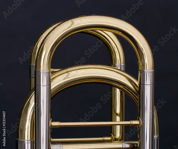 Obraz trombone