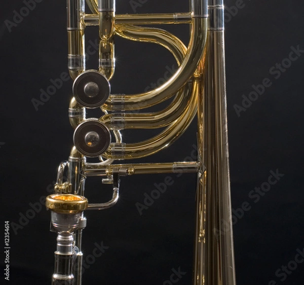 Obraz trombone