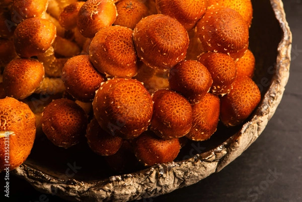 Obraz Chestnut mushroom, Pholiota adiposa, head mushroom