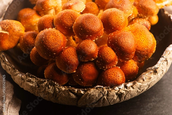 Obraz Chestnut mushroom, Pholiota adiposa, head mushroom