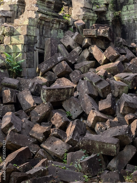 Obraz アンコール遺跡ベン・メリア