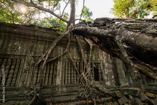Obraz アンコール遺跡ベン・メリア