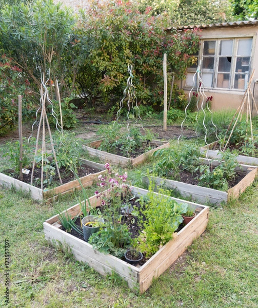 Obraz Carrés de potager