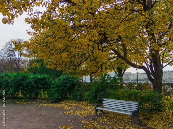Obraz Autumn view with a bench