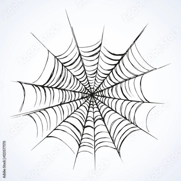 Fototapeta Web. Vector drawing