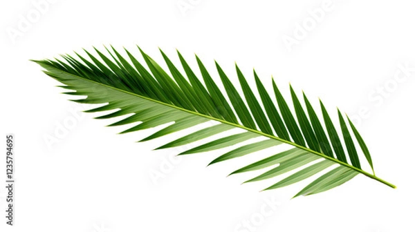 Fototapeta a close up of a leaf
