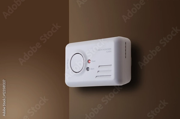 Obraz Carbon Monoxide Alarm