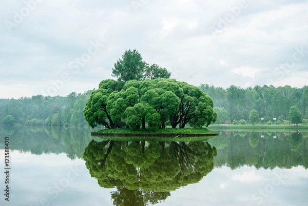 Obraz Царицинский заповедник