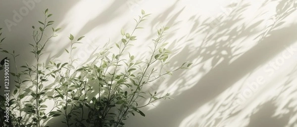 Fototapeta Captivating shadow play of leaves on wall indoor space nature calm atmosphere