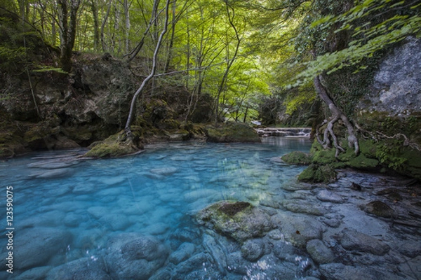 Obraz Urederra river I
