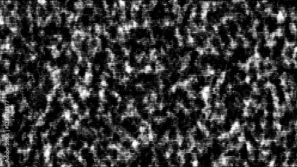 Fototapeta Abstract texture with black and white circles. Matrix background. Motion dots in cyberspace. Halftone illustration. Technology background with data algorithms. Hacked security particles pattern.