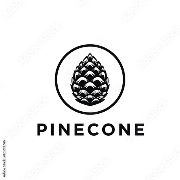 Obraz Pinecone logo vector