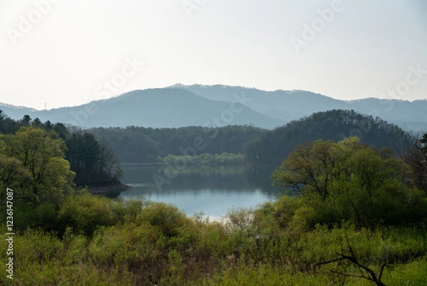 Obraz 고요한 숲속의 작은 호수