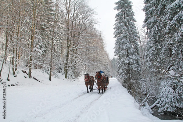 Obraz Kulig w górach