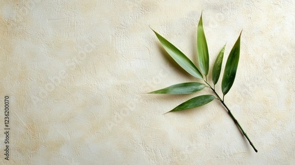 Fototapeta A single bamboo leaf isolated on a light, textured background for minimalistic appeal.
