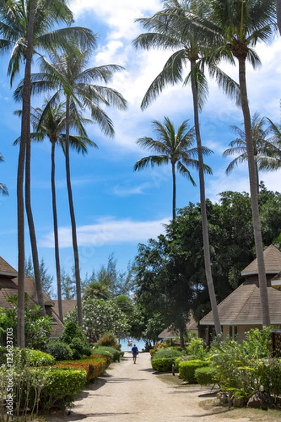 Obraz Tropical resort