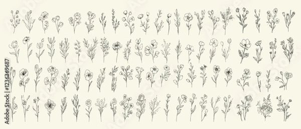 Fototapeta Botanical floral collection for wedding invitations, set of flowers and brunch with editable stroke, vector illustration design for save the date card