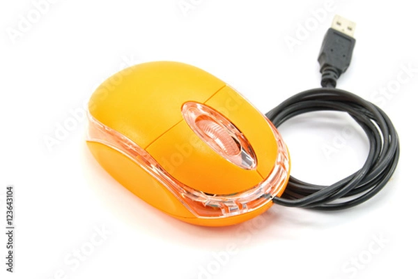 Fototapeta Computer mouse on white background